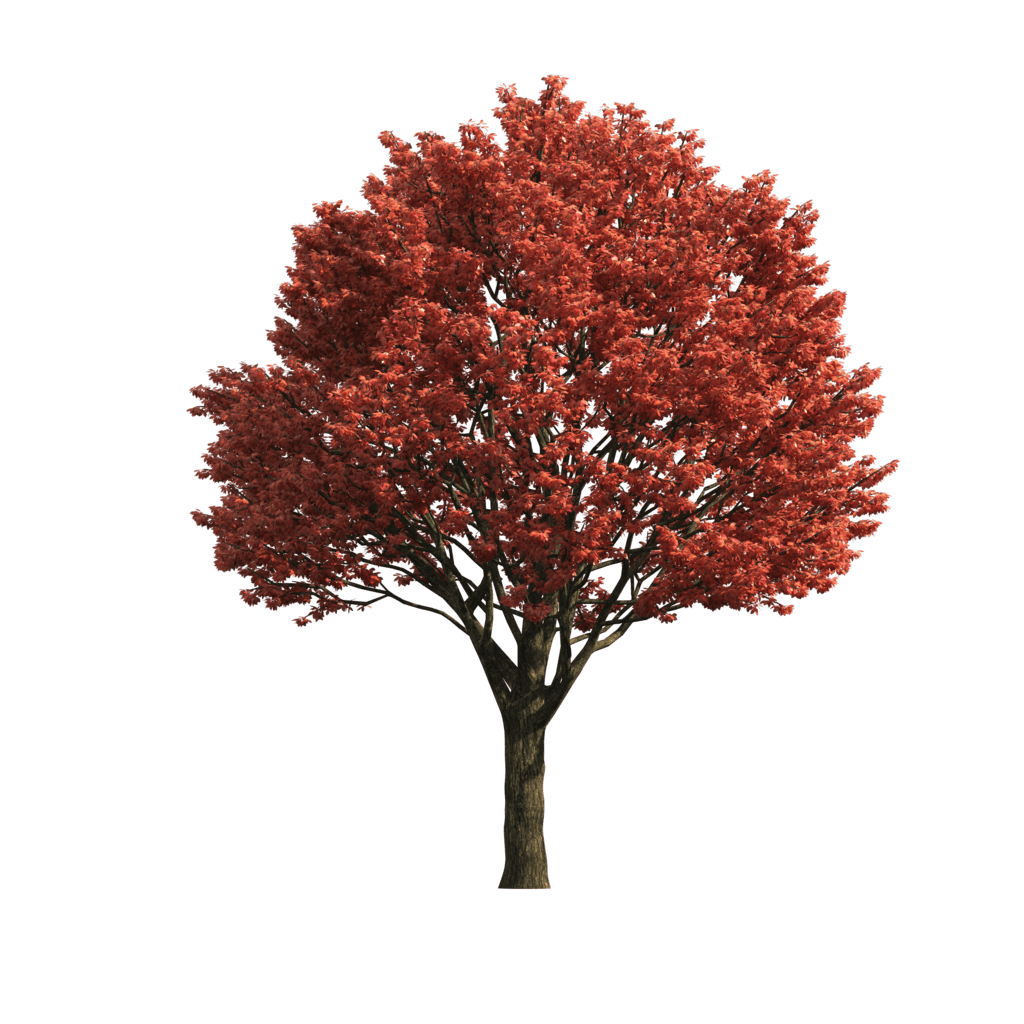 Fall Tree Logo