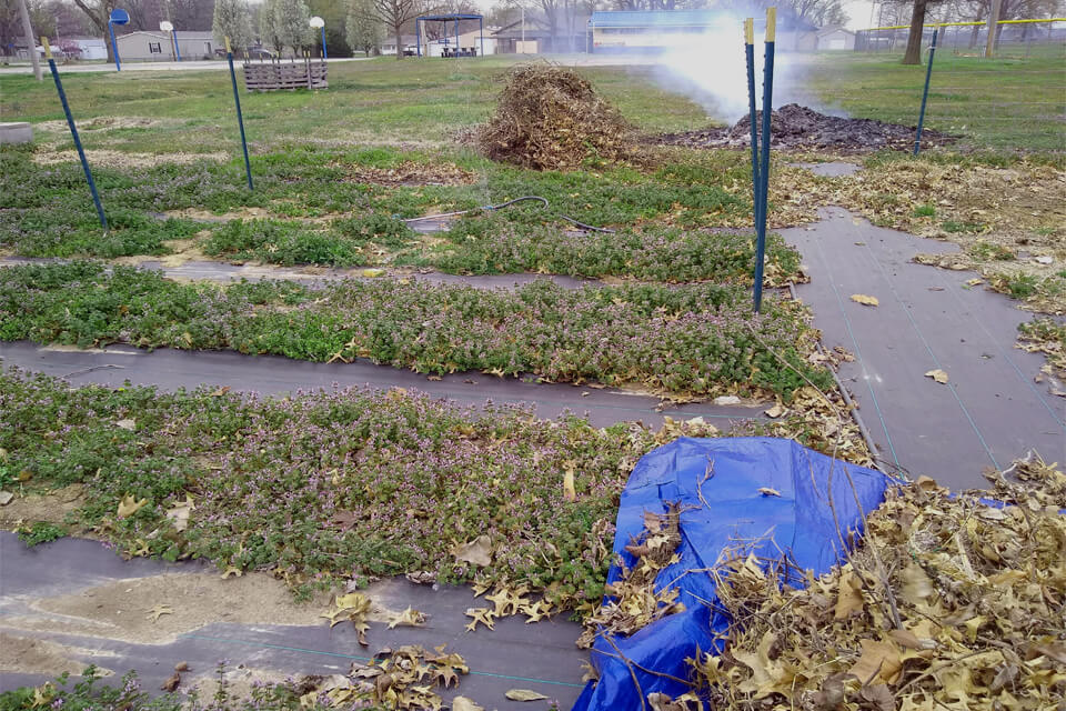 burning and cleaning soil for planting