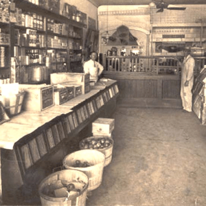 vehicles inside museum